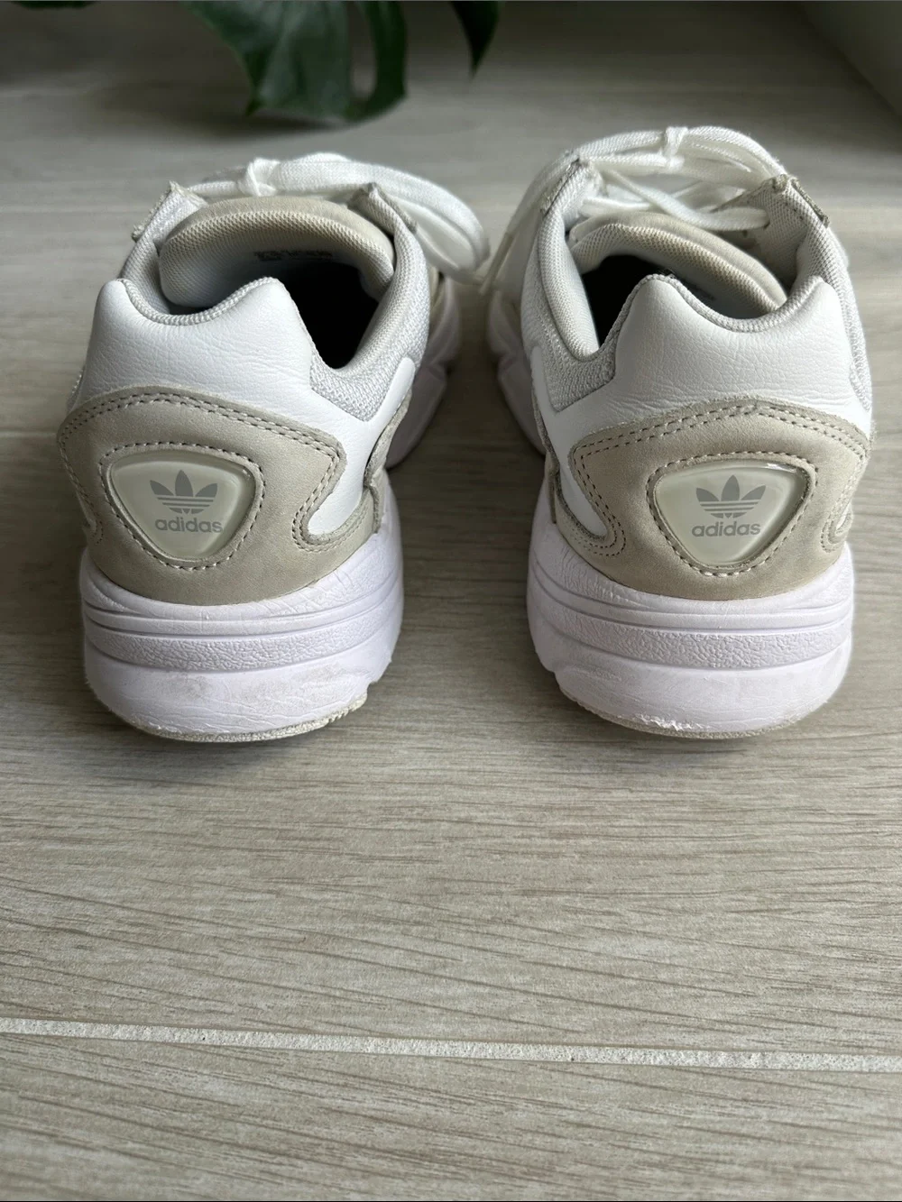 Adidas Falcons - white and tan sneakers